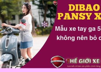 Dibao Pansy XS1 Neo Pro – Mẫu xe tay ga 50cc không nên bỏ lỡ